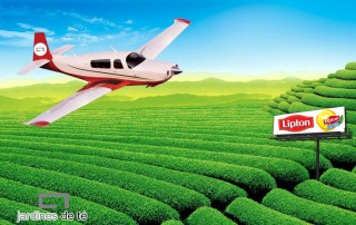 Lipton ice tea comercial tabarca distribucion de bebidas y alimentacion alicante