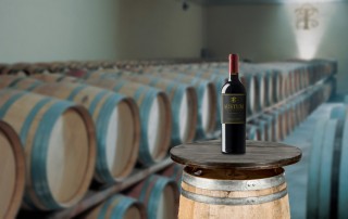 austum crianza tonio codorníu vino tinto ribera del duero comercial tabarca distribución de bebidas y alimentación alicante