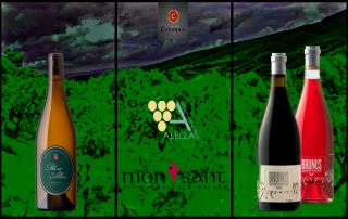 blanc allier do alella brunus do montsant codorníu comercial tabarca distribución de bebidas y alimentación alicante