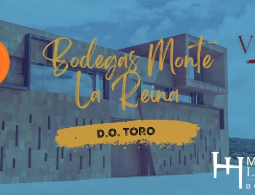 Distribuidores oficiales de Bodegas Monte la Reina en Alicante · Vinos D.O. Toro para la hostelería 🍷