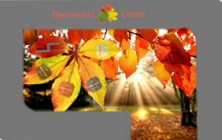 bodegas montecillo vino otono comercial tabarca distribucion de bebidas y alimentacion alicante