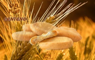 galletas de centeno pan gori de muro comercial tabarca distribucion de bebidas y alimentacion alicante