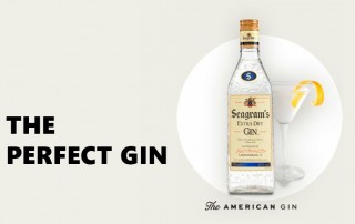ginebra seagram´s extra dry gin comercial tabarca distribución de bebidas y alimentación the perfect gin