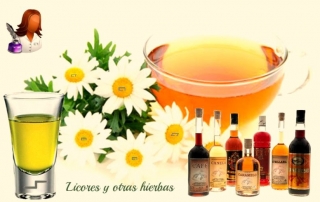 herbero y licores sierra mariola