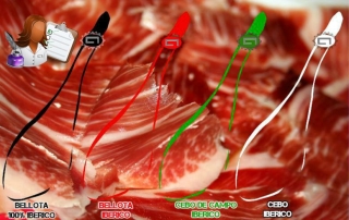 jamon nueva normativa comercial tabarca distribucion de bebidas y alimentacion alicante