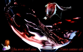 jamon y queso comercial tabarca distribucion de bebidas y alimentacion alicantejamon comercial tabarca distribucion de bebidas y alimentacion alicante