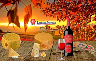 lacteos queso parmesano italiano grana padano latteria soresina vino tinto montecillo rioja comercial tabarca distribucion de bebidas y alimentacion alicante