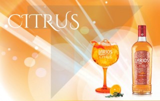 larios citrus ginebra premium comercial tabarca distribución de bebidas y alimentación alicante gin tonic