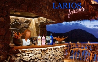 larios ginebra comercial tabarca distribucion de bebidas y alimentacion alicante