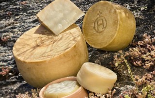 queso hacienda zorita torta comercial tabarca distribución de bebidas y alimentación alicante quesos