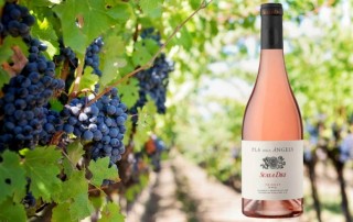 Scala Dei pla dels ángels vino rosado priorato codorníu comercial tabarca distribución de bebidas y alimentación alicante botella
