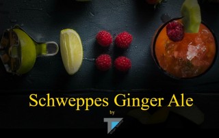 schweppes ginger ale comercial tabarca distribución de bebidas y alimentación alicante combinados 0