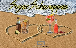 schweppes sugerencias ginger ale tonica hibiscus premium comercial tabarca distribucion de bebidas y alimentacion alicante
