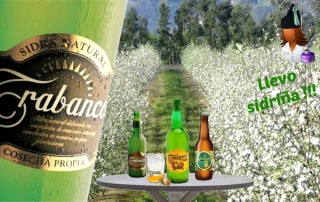 sidra trabanco distribucion de bebidas y alimentacion alicante comercial tabarca