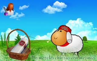 Primer queso rulo de oveja, quesos quevedo