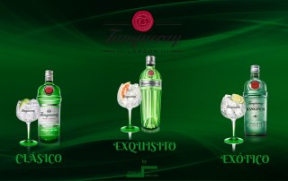 tanqueray london dry gin ten rangpur distribución de alimentación y bebidas alicante botellas