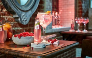 tónica pink schweppes rosa gin tonic dulce distribución de alimentación y bebidas alicante copa