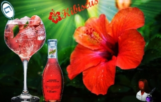 tonica schweppes hibiscus distribucion de bebidas y alimentacion alicante comercial tabarca