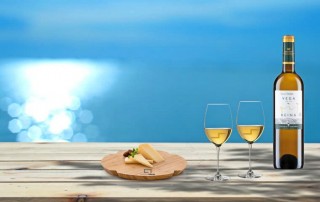 vino blanco vega de la reina verdejo do rueda comercial tabarca distribución de bebidas y alimentación alicante queso
