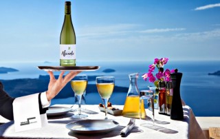 vino puerto alicante aromatico bodegas vicente gandia comercial tabarca distribucion de bebidas y alimentacion alicante