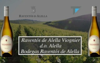 vino-raventos-de-alella-blanco-distribucion-de-bebidas-en-alicante-comercial-tabarca-destacada