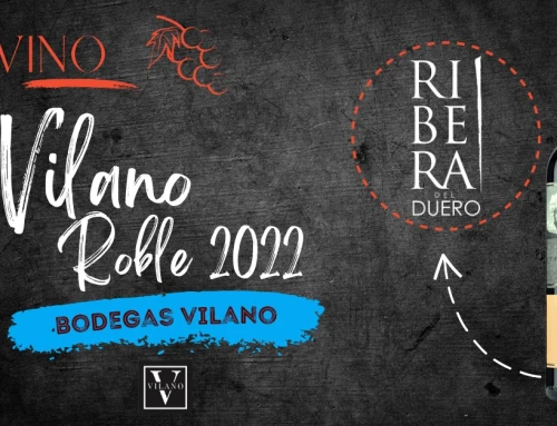 Descubre el Exquisito Vino Vilano Roble 2022 para tu Negocio de Hostelería en Alicante