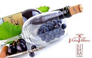 vino viña vilano uva botella comercial tabarca distribucion de bebidas y alimentacion alicante