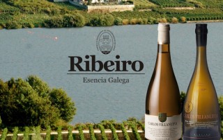 vinos de galicia ribeiro bodegas villanueva comercial tabarca distribución de bebidas y alimentación alicante do