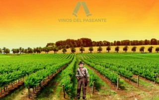 vinos del paseante vinedos comercial tabarca distribucion de bebidas y alimentacion alicante