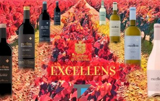 vinos excellens bodegas marques de caceres distribucion de bebidas y alimentacion alicante comercial tabarca destacada