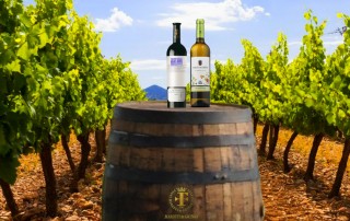 vinos marqués de griñón vino comercial tabarca distribución de bebidas y alimentación alicante viñedos