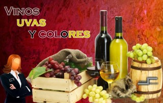 vinos uvas colores comercial tabarca distribucion de bebidas y alimentacion alicante