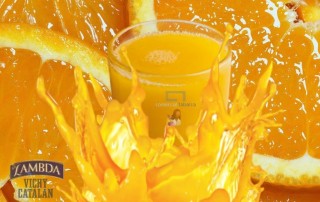 zumos lambda vichy catalan comercial tabarca distribucion de bebidas y alimentacion alicante